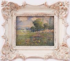 Szentpály jelzéssel: Virágos réten. Akvarell, papír. Dekoratív, üvegezett fakeretben. 11,5x14,5 cm