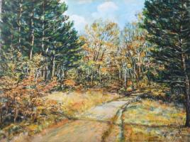 Olvashatatlan (Bernáth?) jelzéssel: Erdőrészlet. Olaj, farost. 40×49 cm