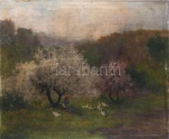 Neogrády Antal (1861-1942): Libapásztorlány. Olaj, vászon, jelezve balra lent. Apró felületi sérülésekkel (benyomódásokkal). 62x75 cm.