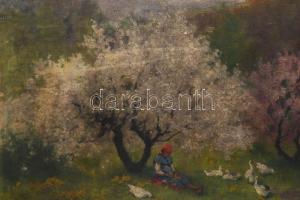 Neogrády Antal (1861-1942): Libapásztorlány. Olaj, vászon, jelezve balra lent. Apró felületi sérülés...