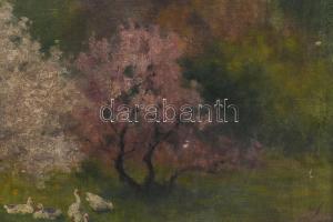 Neogrády Antal (1861-1942): Libapásztorlány. Olaj, vászon, jelezve balra lent. Apró felületi sérülés...