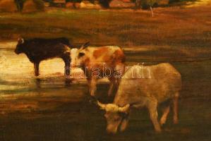 Pázmán József (1910-1991): Táj gémeskúttal. Olaj, vászon, jelzett. Dekoratív, kissé sérült fakeretbe...