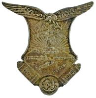 DN "K.u.K Gebirgsartillerie Reg No. 7. - 1915 - 1918 - Albanien - Macedonien - Montenegro - Rumenien - Italien" ezüstözött fém jelvény replika (40x37mm) T:AU