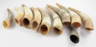 10 db klf méretű szarv