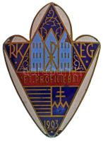 1910 k. "RKÉG 1903" a Rákóczi Kollégium és Érseki Gimnázium zománcozott bronz iskolajelvénye (58x41mm) T:VF zománchibák, egyik pánt letört