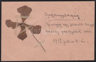 Real flower from a Polish castle park greeting card