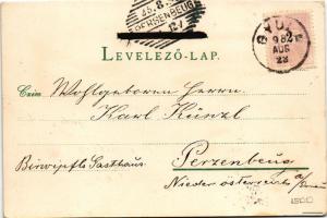 1898 Gyula, Göndöcs népkerti pavilon, Megyeház utca, Takarékpénztár, Római katolikus templom. Dobay ...