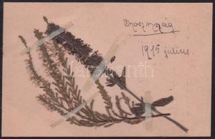 Real Russian flower greeting card (EB)