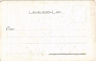 Kossuth Lajos legtökéletesebb 1848-49-iki arcképe (fénykép után) (EM)