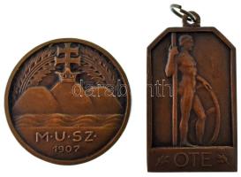 1910 k. "OTE (Óbudai Torna Egylet)" bronz díjérem füllel, szalag nélkül (22x37mm) + "MUSZ (Magyar Úszó Szövetség)" bronz díjérem (33mm) T:XF