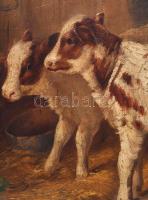 Jelzés nélkül, XX. sz. eleje: Bocik, csibék és kutya az istállóban. Olaj, vászon, restaurált, dublír...