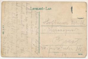 Arad, Aczél Péter utca, Varga József, Weisz Farkas üzlete, takarékpénztár, omnibusz / street, shops,...