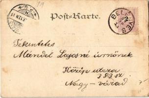 1899 Alles strebt dem Lichte zu mit den sehnlichstem Verlangen... Franz Schöler Wien XIX. / Szecessz...