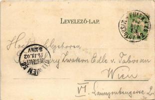 1902 Bánréve, vasútállomás, gőzmozdony, Hámos kastély, népviselet, nemzetiszínű szalag. Grad M. kiad...