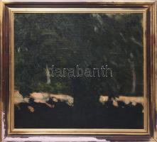 Jelzés nélkül: Fatanulmány. Olaj, vászon, kartonon. Hátoldalán címkén Vaszary J Fatanulmány felirattal, 302/976 sz. MNG bírálati címkével és Kovács Dezső műgyűjtő hagyatéki bélyegzőkkel. Dekoratív fakeretben. 53,5x59,5 cm