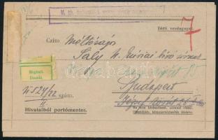 1923 Tanúidézés 2 db Hivatalos bélyeggel és "Meghalt." címkével visszaküldve
