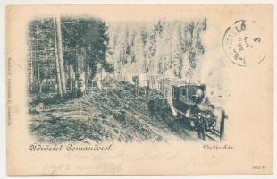 1900 Komandó, Kommandó, Comando, Comandau; Vadászház, iparvasút, gőzmozdony. Bogdán F. fényképész / industrial railway, locomotive, wood industry (EM)