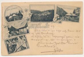 1897 Szebenjuharos, Hohe Rinne, Paltinis; Grüss aus den Siebenbürgischen Karpathen! Negoi-Schutzhütten, Kurhaus auf der Hohen Rinne (Paltinis), Bullea-Schutzhütte, Presbe-Schutz, Drachensteig. Siebenbürgischer Karpathenverein Section Hermannstadt / Üdvözlet az Erdélyi Kárpátokból! Szebenjuharos, Negoj, Bólya menedékházak, gyógyházak. Az Erdélyi Kárpát Egyesület Nagyszebeni részlegének kiadása / spa, rest houses, mountain huts in the Transylvanian Carpathians. Art Nouveau, floral (EK)
