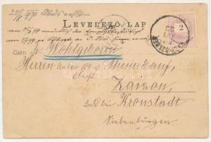 1897 Szebenjuharos, Hohe Rinne, Paltinis; Grüss aus den Siebenbürgischen Karpathen! Negoi-Schutzhütt...