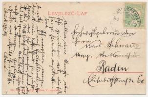 1909 Verespatak, Goldbach, Rosia Montana; Privát zúzda, aranybánya. Schmidt György kiadása / gold mi...