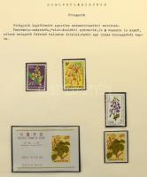 Virág tematikus kiállítási anyag maradvány kiállítási lapokon