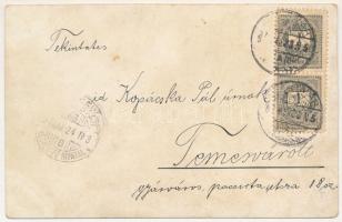 1897 Szatmárnémeti, Szatmár, Satu Mare; Convictus, katolikus és református gimnázium, tanító képezde...