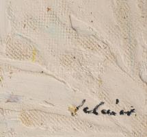 Schéner Mihály (1923-2009): Iris és Narcis. Olaj, farost. Jelzett. Hátoldalán autográf felirattal. 4...