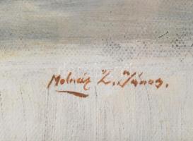 Molnár Z. János (1880-1960): Asztali csendélet porcelánnal és gyümölcsökkel. Olaj, vászon, jelezve j...