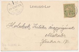 1905 Dicsőszentmárton, Tarnaveni, Diciosanmartin; Kisküküllő vármegye közkórháza. Jeremiás-Áron cég ...