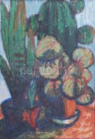 Olvashatatlan jelzéssel: Virágcsendélet kaktusszal. Kréta, papír, üvegezett fakeretbenn 40x28,5 cm