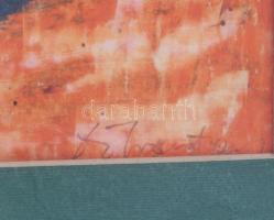 Olvashatatlan jelzéssel: Virágcsendélet kaktusszal. Kréta, papír, üvegezett fakeretbenn 40x28,5 cm