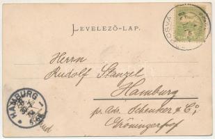 1904 Törcsvár, Törzburg, Bran-Poarta, Bran; látkép, vár / view, castle (szakadás / tear)