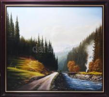Najgyanov Vladimir (-): Hegyi-folyó (Ukrajna). Olaj, vászon, faroston. Jelezve jobbra lent. Dekoratív fakeretben. 70x80 cm