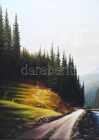 Najgyanov Vladimir (-): Hegyi-folyó (Ukrajna). Olaj, vászon, faroston. Jelezve jobbra lent. Dekoratí...