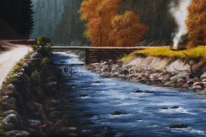 Najgyanov Vladimir (-): Hegyi-folyó (Ukrajna). Olaj, vászon, faroston. Jelezve jobbra lent. Dekoratí...