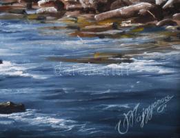 Najgyanov Vladimir (-): Hegyi-folyó (Ukrajna). Olaj, vászon, faroston. Jelezve jobbra lent. Dekoratí...