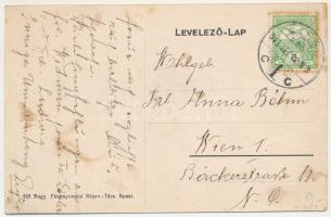 1913 Élesd, Alesd; Magaslaki Gróf Zichy Rafael kastély / castle (fl)