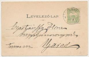 Borossebes, Boros-Sebes, Sebis; Fő utca. Honisch udvari fényképész felvétele / main street. Art Nouv...