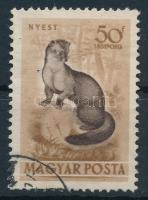 1953 Erdei állatok 50f számvízjellel