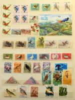 Madár motívum nagyrészt postatiszta motívum tétel, benne 780 db bélyeg, 20 blokk és kisív, 9 füzetla...