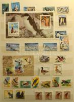 Madár motívum nagyrészt postatiszta motívum tétel, benne 780 db bélyeg, 20 blokk és kisív, 9 füzetla...