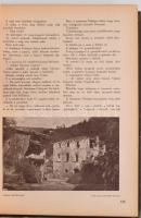 1916 Az Élet című lap VIII. évfolyamának vegyes számai könyvbe kötve