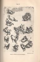 Leonardo da Vinci: 
Tagebücher und Aufzeichnungen. Übersetzt und herausgegeben von Theodor Lücke.
...