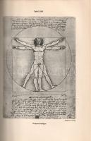 Leonardo da Vinci: 
Tagebücher und Aufzeichnungen. Übersetzt und herausgegeben von Theodor Lücke.
...