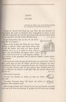 Leonardo da Vinci: 
Tagebücher und Aufzeichnungen. Übersetzt und herausgegeben von Theodor Lücke.
...