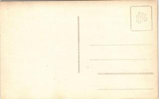 Budapest VI. Operaház, ünnepség. photo