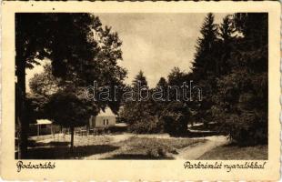 1936 Bódvarákó, parkrészlet nyaralókkal + "TORNANÁDASKA - MISKOLCZ 165. SZ." vasúti mozgóposta bélyegző (gyűrődések / creases)