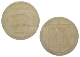 1985. 100Ft "Természetvédelem - Vidra" gipsz előlapi és hátlapi POZITÍV nagyminta (158mm) T:AU,XF ph. / Hungary 1985. 100 Forint "Nature Conservation - Otter" obverse and reverse POSITIVE large plaster sample (158mm) C:AU,XF edge error Adamo EM84