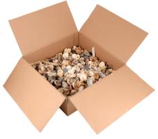 Nagyobb doboznyi vegyes kagyló tétel.