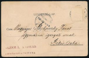 1908 Réthy László (1851-1914) etnográfus, numizmatikus, az MTA tagja (költőként Lőwy Árpád néven ism...